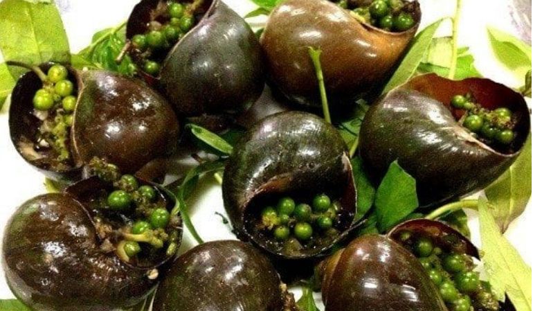 Grilled snails with green pepper in can tho vietnam