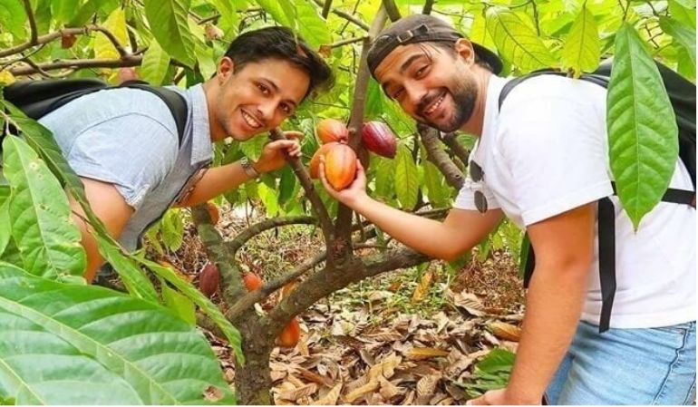 Muoi Cuong Cocoa Garden in can tho vietnam