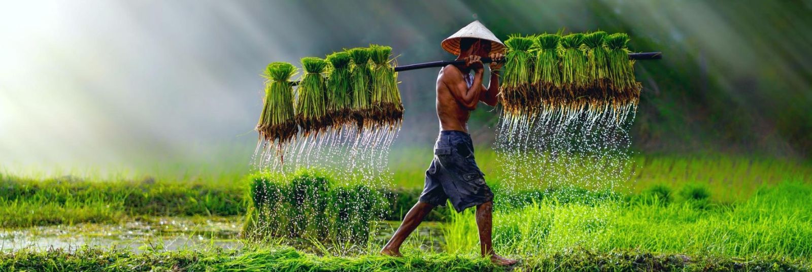 Vietnam and Laos Tour Packages