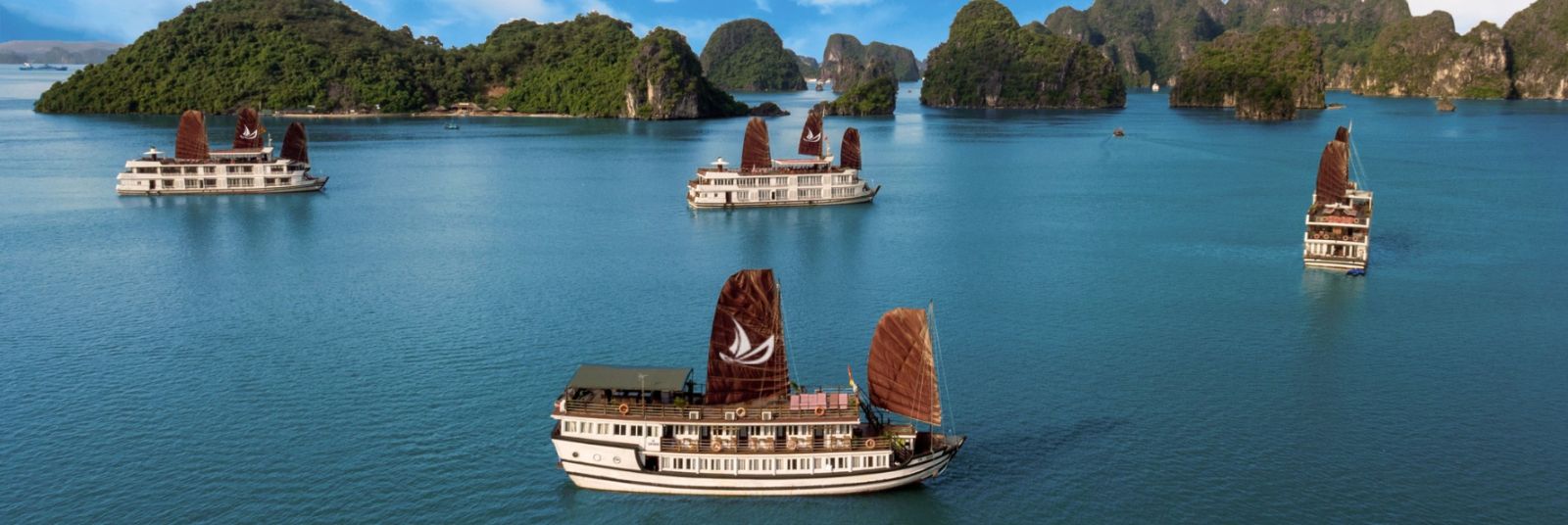 Budget Cruises