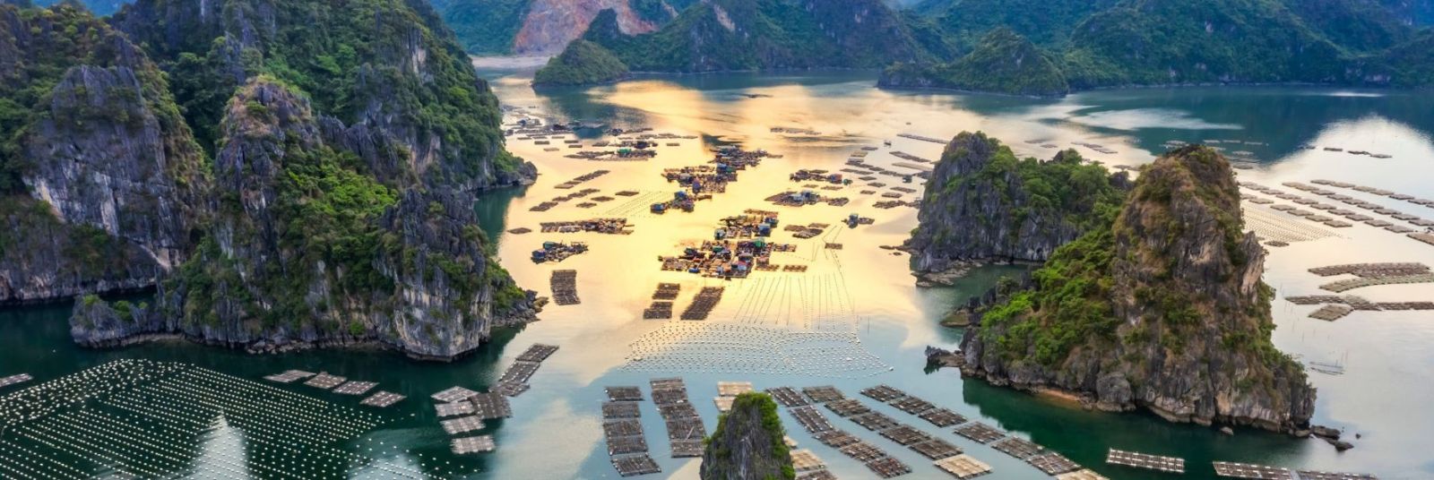 Bai Tu Long Bay Cruises: TOP Options for Halong Bay Luxury Trip