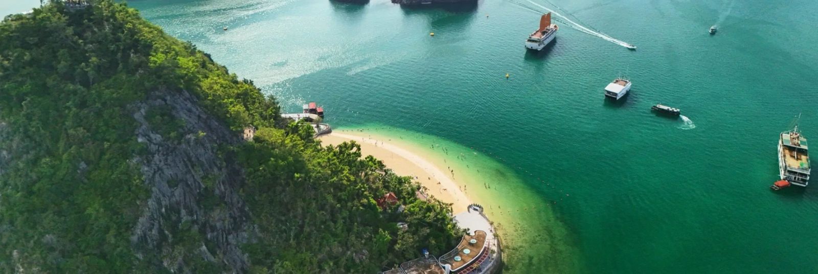 Newest Cruises