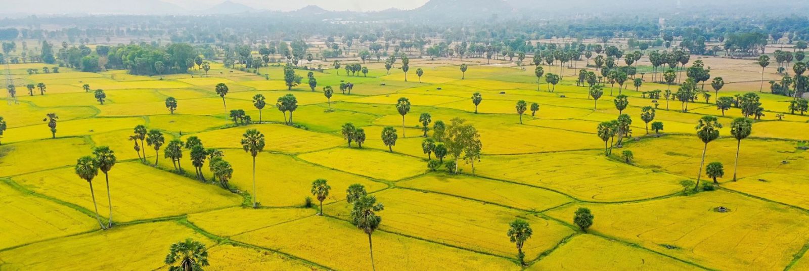 Places to visit in An Giang