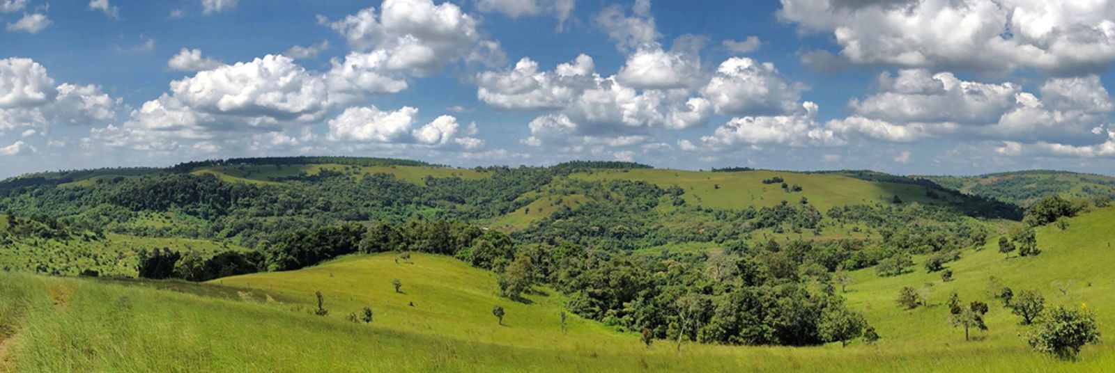 Mondulkiri Tours