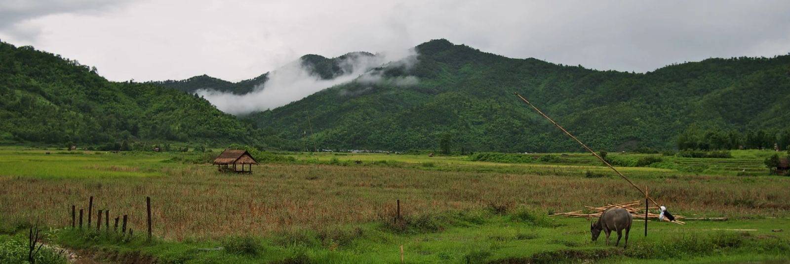 Escape to Nature: Unforgettable Kyaukme Tours in Myanmar