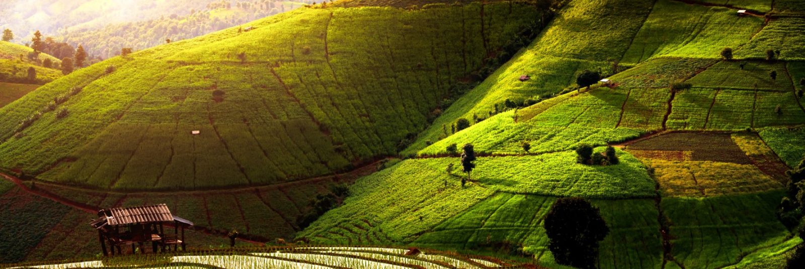 Discover Chiang Mai: Exciting Tours to Explore Northern Thailand's Hidden Gems!