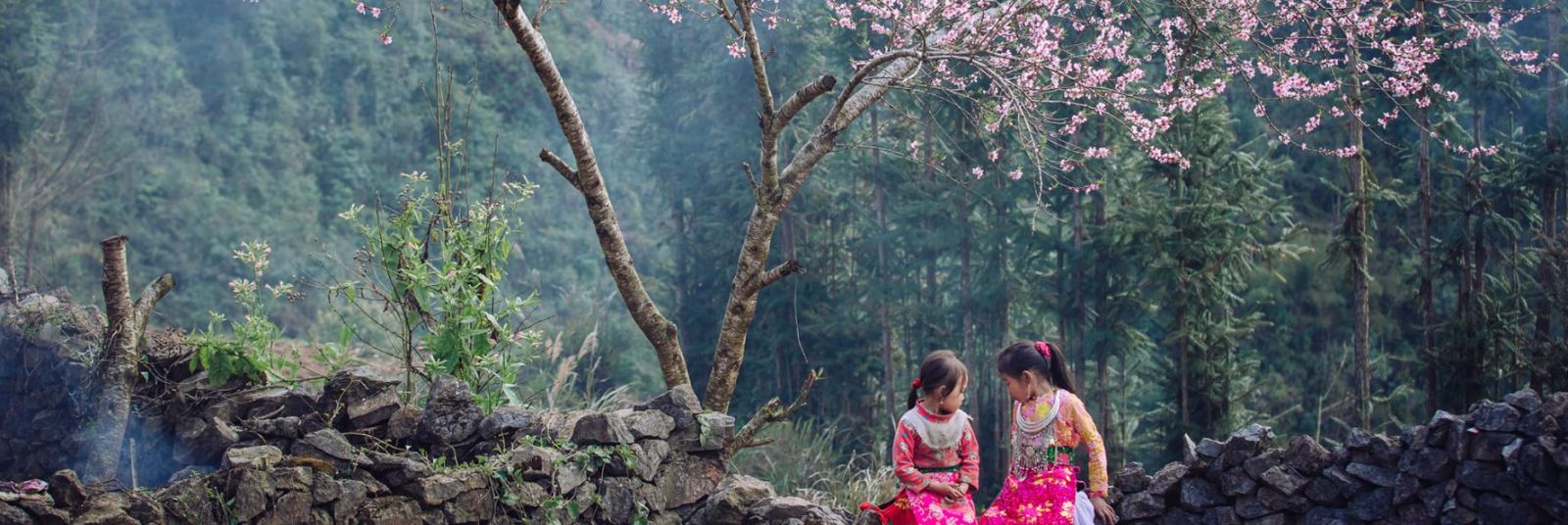 Ha Giang Loop Tours - Your Dream Adventure Starts Here