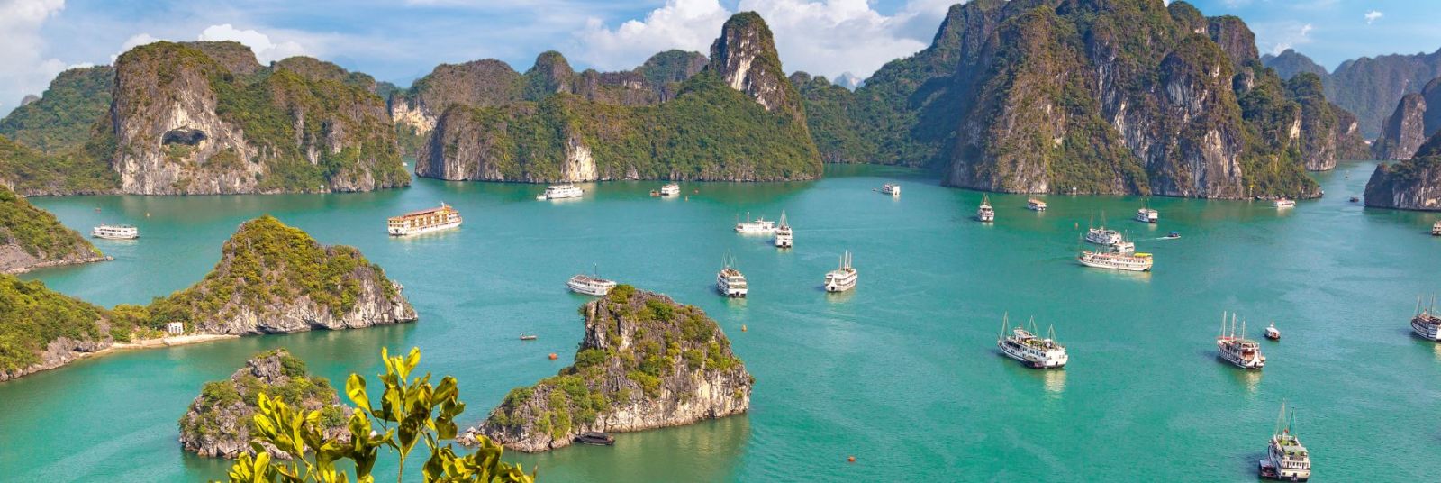 Halong Bay Cruises & Land Tours - Best Deals & Flexible Guarantee