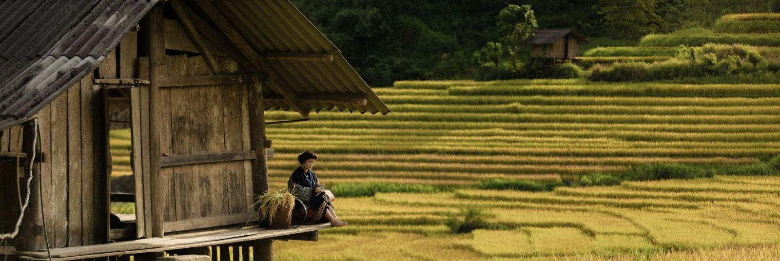 Sapa Tours from Hanoi - Dream Adventure to North Vietnam