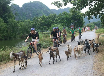 Things to do and see in Ninh Binh