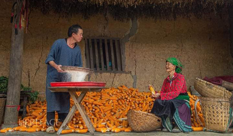 Images of Daily Labor of Local People