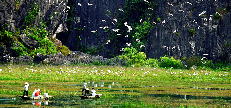 visiting Thung Nham Bird Garden Ecological Area