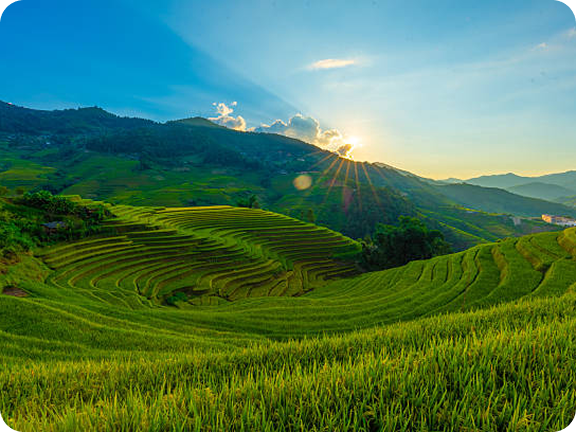 Sapa
