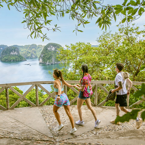 Ambassador Cruise in Halong Bay