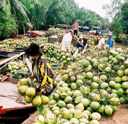 Cu Chi Tunnels Mekong Delta Tour