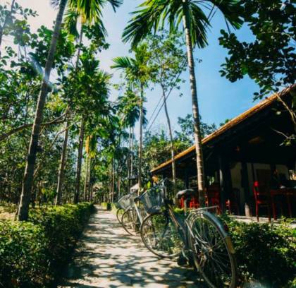 Cu Chi and Mekong Delta Day Tour