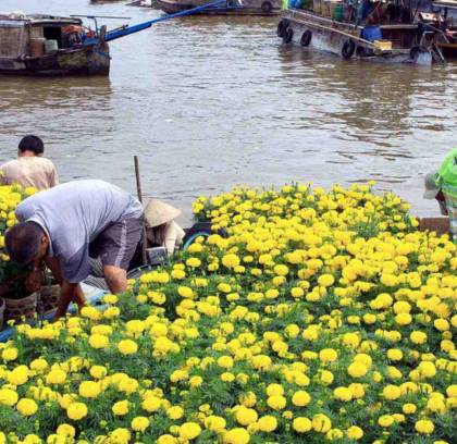 Cu Chi Tunnels and Mekong Delta Day Tour