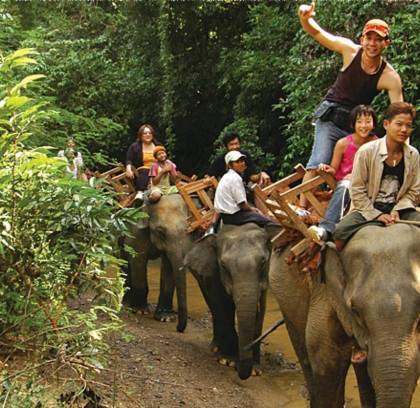 1 Day Exploring Elephant Camp Kalaw
