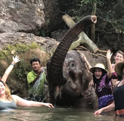 1 Day Exploring Elephant Camp Kalaw