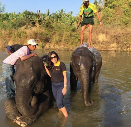1 Day Exploring Elephant Camp Kalaw