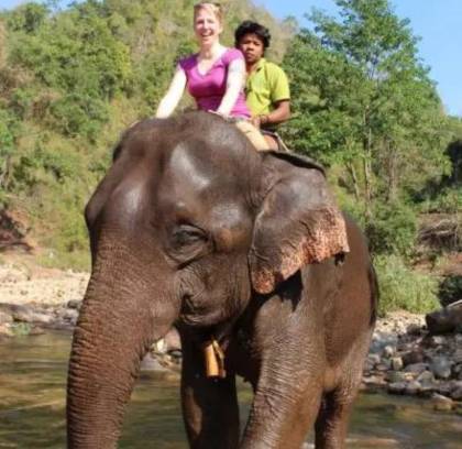 1 Day Exploring Elephant Camp Kalaw