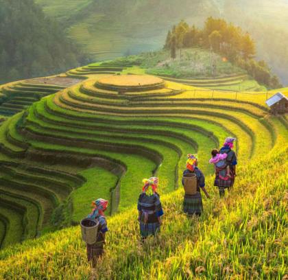 2 weeks Vietnam and Laos tour