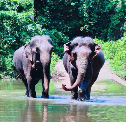 3 Day Central Highlands Vietnam