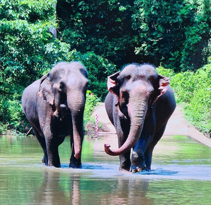4 Days Central Highlands Vietnam