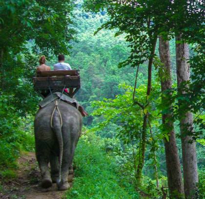 Amazing Thailand 8 days
