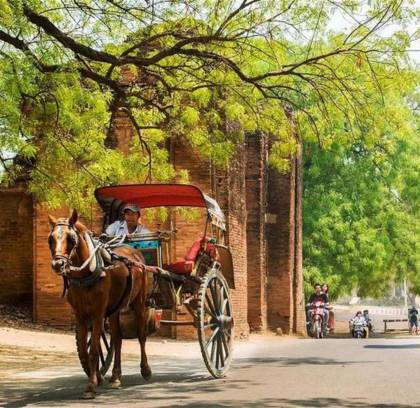 Bagan Horse Riding Tour Half Day