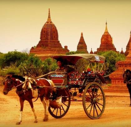 Bagan Horse Riding Tour Half Day