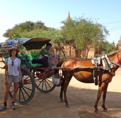 Bagan Horse Riding Tour Half Day