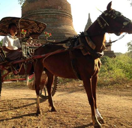 Bagan Horse Riding Tour Half Day