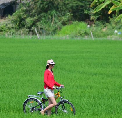 Cai Be eco Bike Tour 1-day