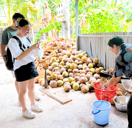 Cai Be eco Bike Tour 1-day