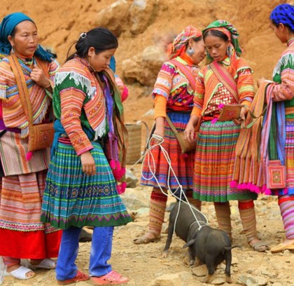 Ha Giang Jeep Tour: 4 Days of Epic Adventure & Breathtaking Views