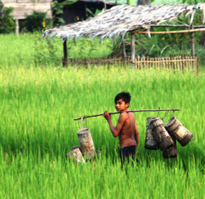 Half Day in Angkor Wat Countryside