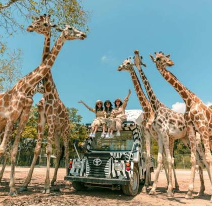 Happy Family in Bangkok 5 Days