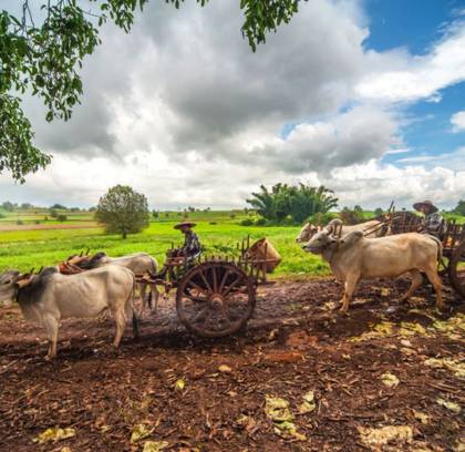 Kalaw One Day Trekking