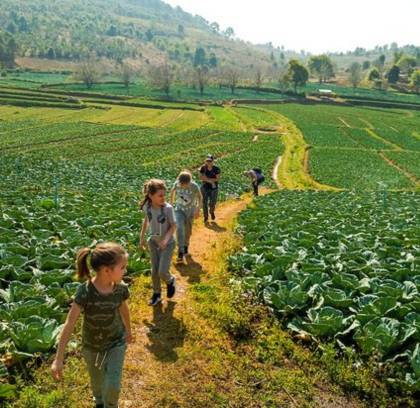 Kalaw One Day Trekking