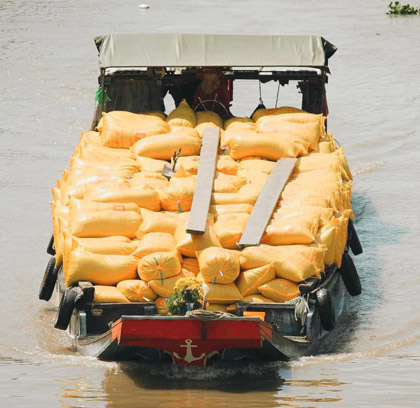 Mekong Delta from Can Tho