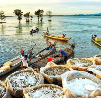 Mekong Delta Tour 2 days 1 night