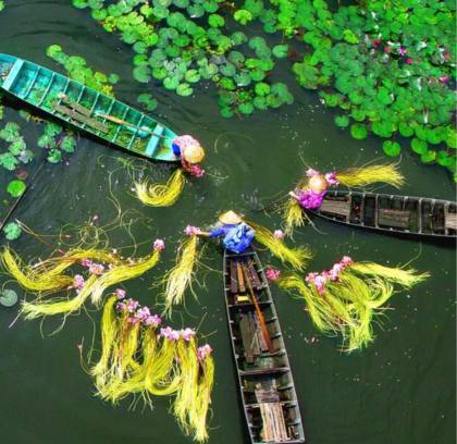 Mekong Delta Tour 2 days 1 night