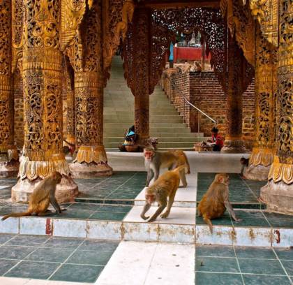 Mount Popa Day Trip – Full Day Discover Mt.Popa