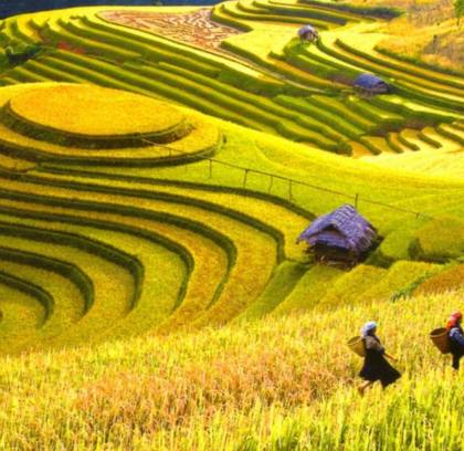 Nature Lovers 2 Days