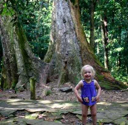 Unveiling Vietnam's Jungle Paradise: Cuc Phuong National Park Day Trip