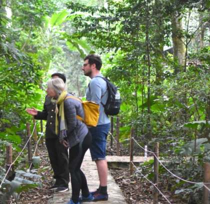 Unveiling Vietnam's Jungle Paradise: Cuc Phuong National Park Day Trip