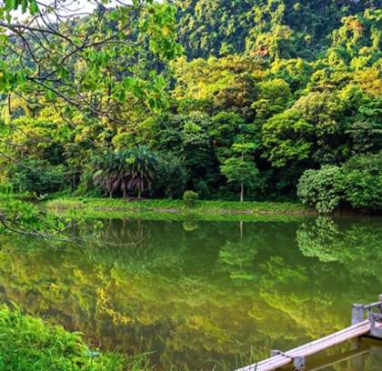 Unveiling Vietnam's Jungle Paradise: Cuc Phuong National Park Day Trip