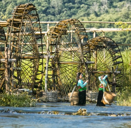 Pu Luong Escape: Trek Rice Terraces, Cycle Villages & Live Local