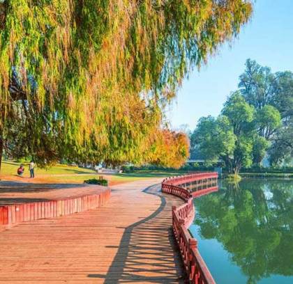 Pyin Oo Lwin Day Trip